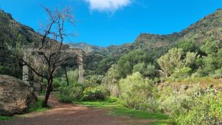 2024-01-GranCan-Barranco_de_los_Cernicalos-024.jpg